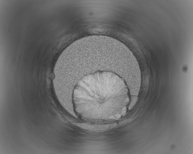X0000116810749201001291601