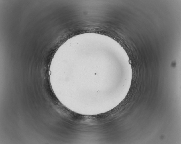 X0000116810750201001291601