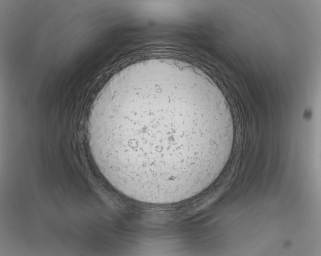 X0000116810751201001291601