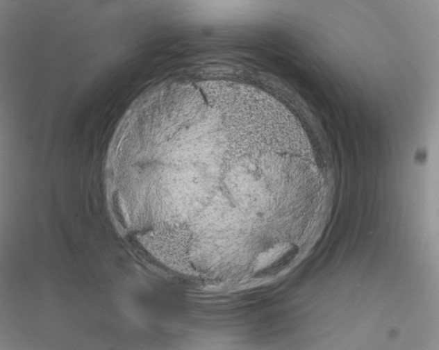 X0000116810753201001291601