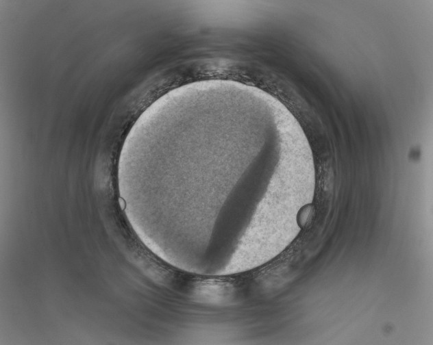 X0000116810754201001291601