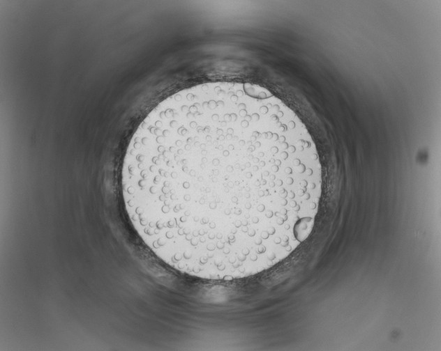 X0000116810755201001291601