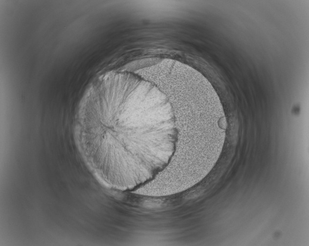 X0000116810757201001291601