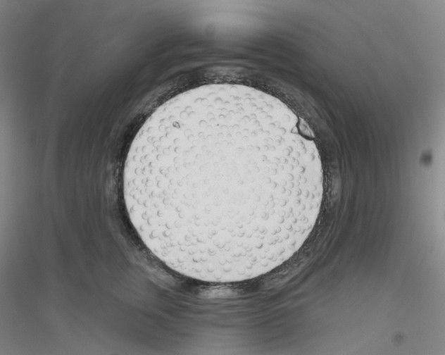 X0000116810759201001291601