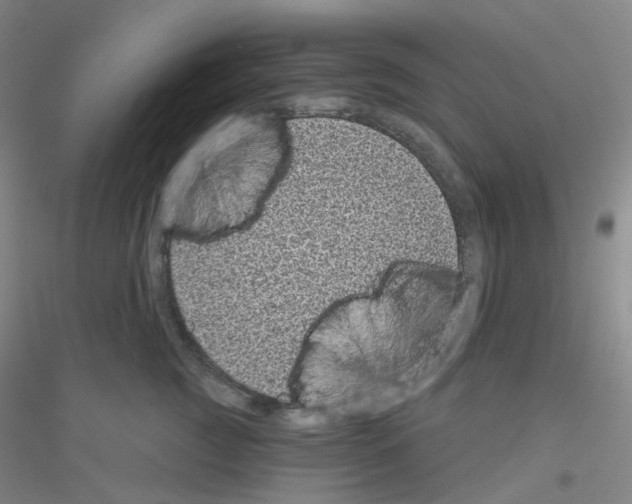 X0000116810761201001291601