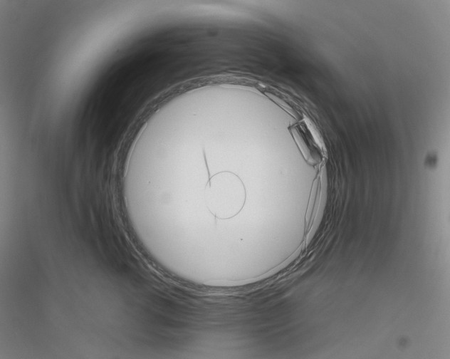 X0000116810762201001291601