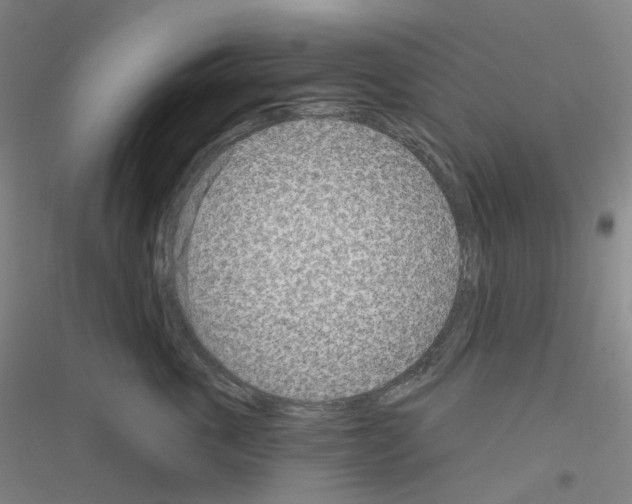 X0000116810763201001291601