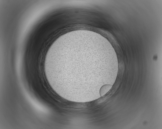 X0000116810765201001291601