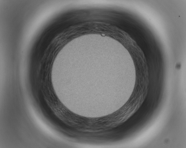 X0000116810766201001291601