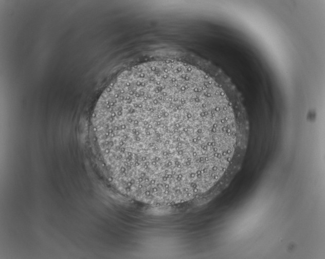X0000116810767201001291601