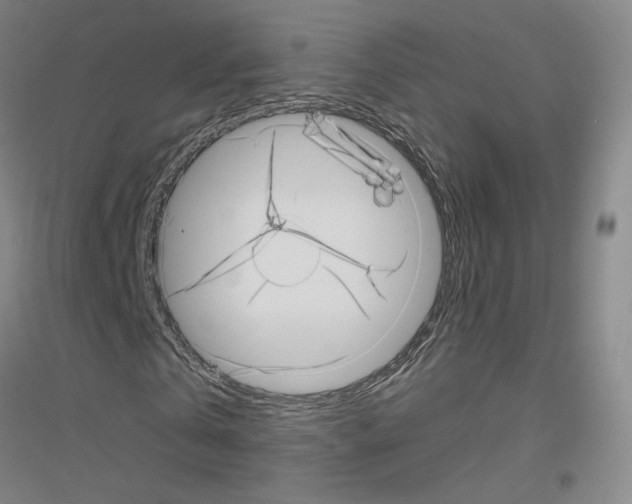 X0000116810769201001291600
