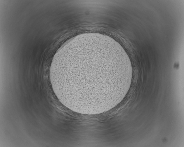 X0000116810770201001291600