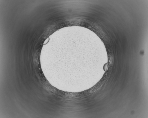 X0000116810771201001291600