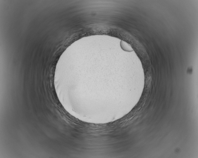 X0000116810772201001291600