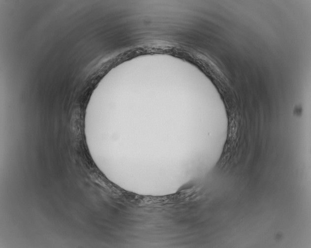 X0000116810773201001291600
