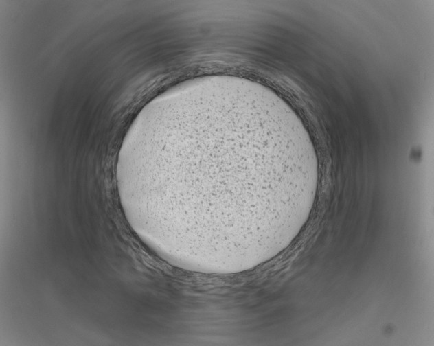 X0000116810774201001291600