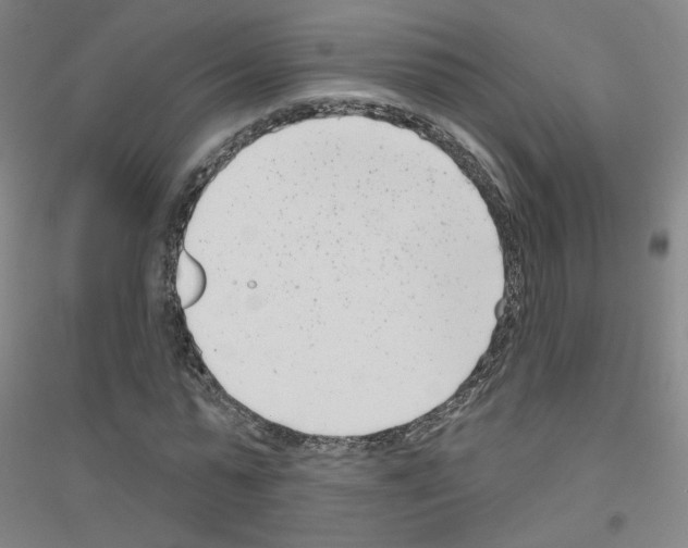 X0000116810775201001291600