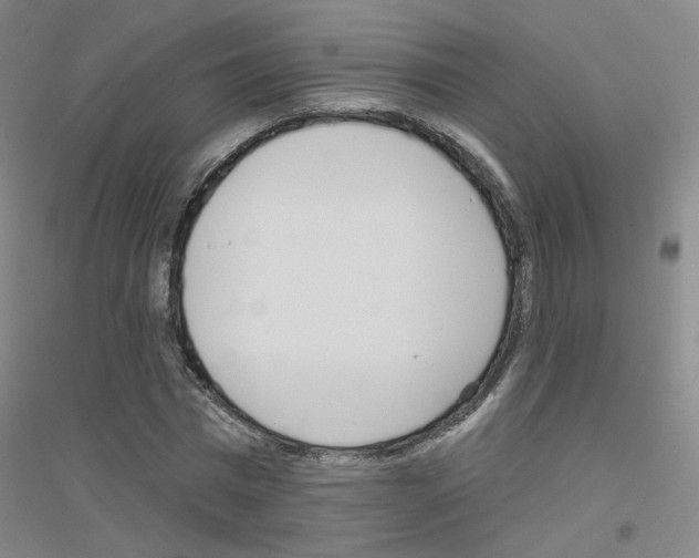 X0000116810777201001291600