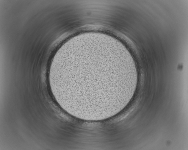 X0000116810778201001291600