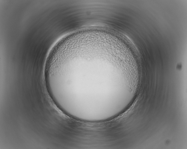 X0000116810780201001291600