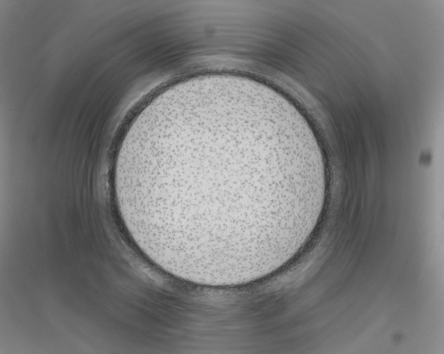 X0000116810782201001291600