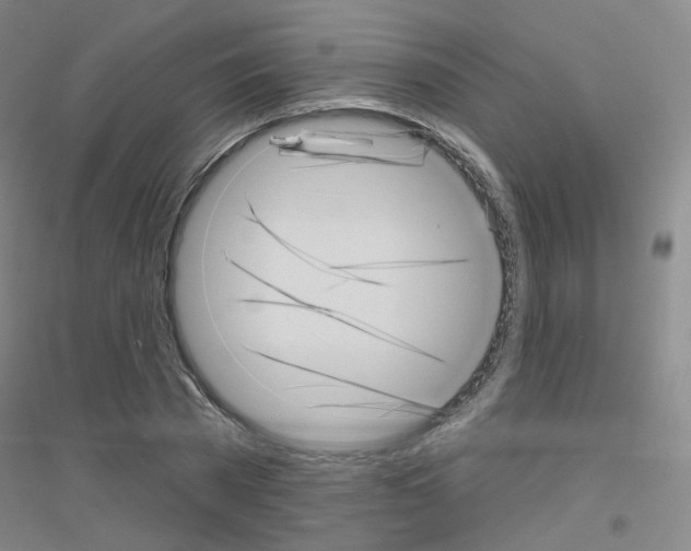 X0000116810785201001291600