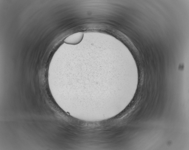 X0000116810786201001291600