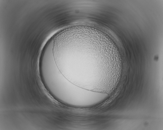 X0000116810788201001291600