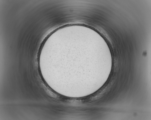 X0000116810789201001291600