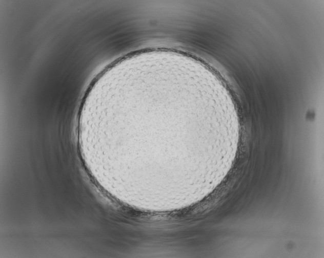 X0000116810791201001291600
