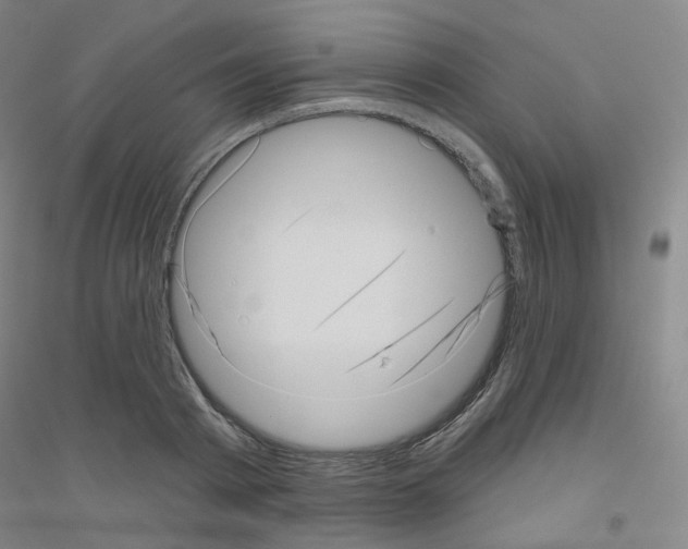 X0000116810793201001291600