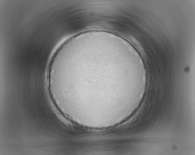 X0000116810796201001291600