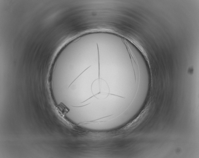 X0000116810797201001291600