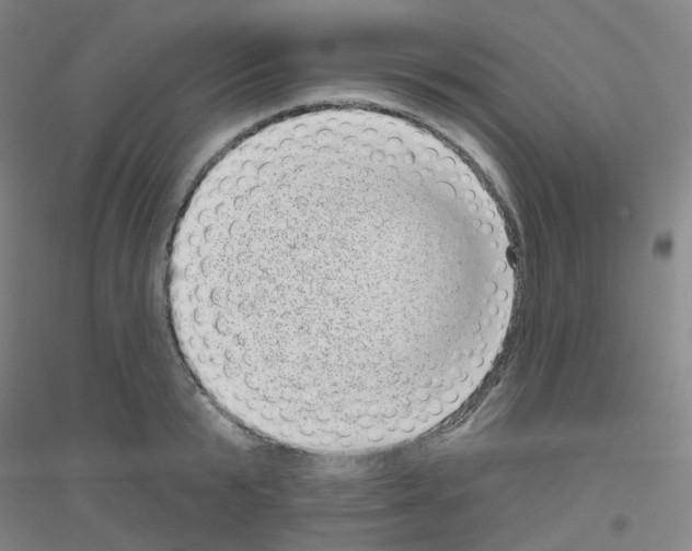 X0000116810799201001291600