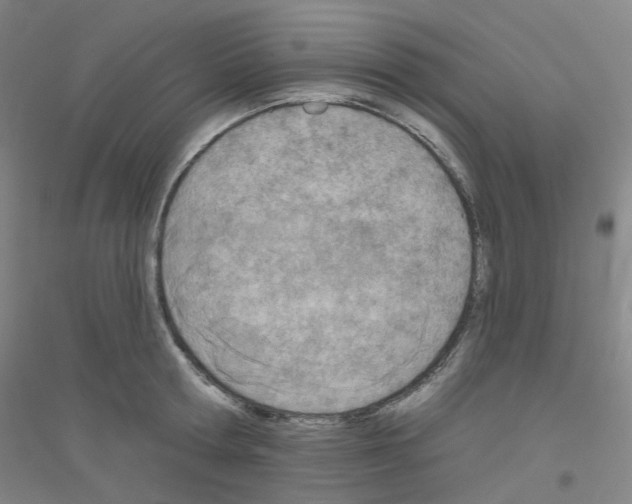 X0000116810802201001291600