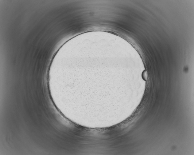X0000116810803201001291600