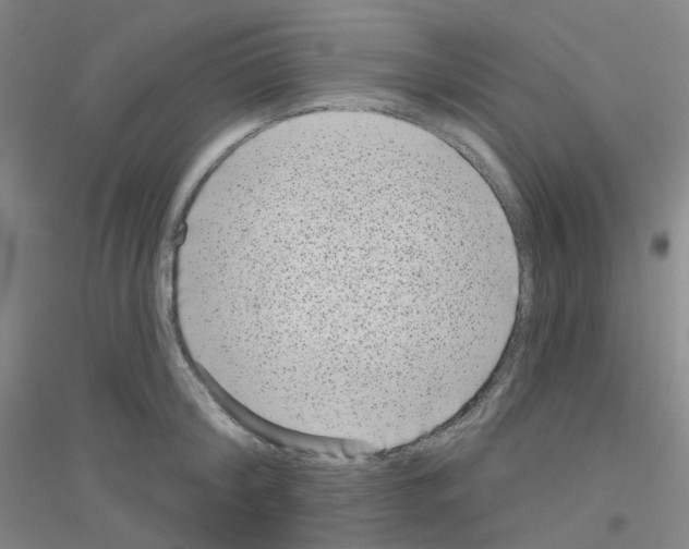 X0000116810804201001291600