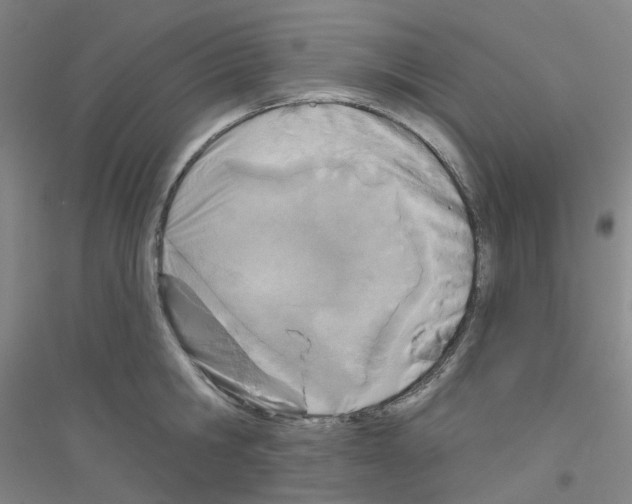 X0000116810806201001291600