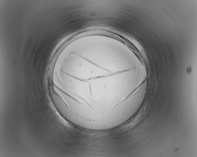 X0000116810807201001291600