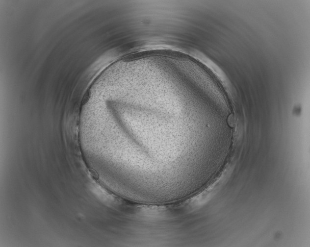 X0000116810809201001291600