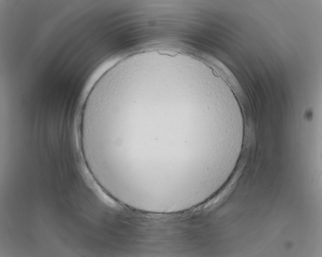 X0000116810812201001291600