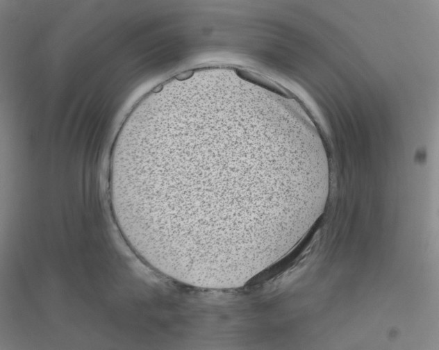 X0000116810815201001291600