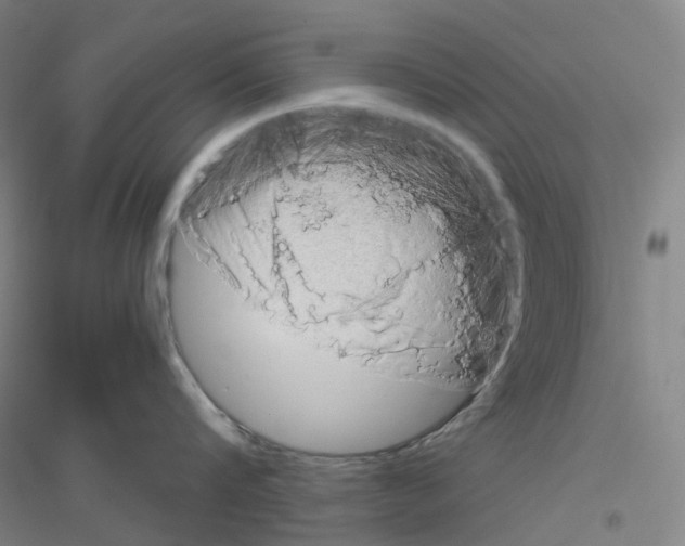 X0000116810816201001291600
