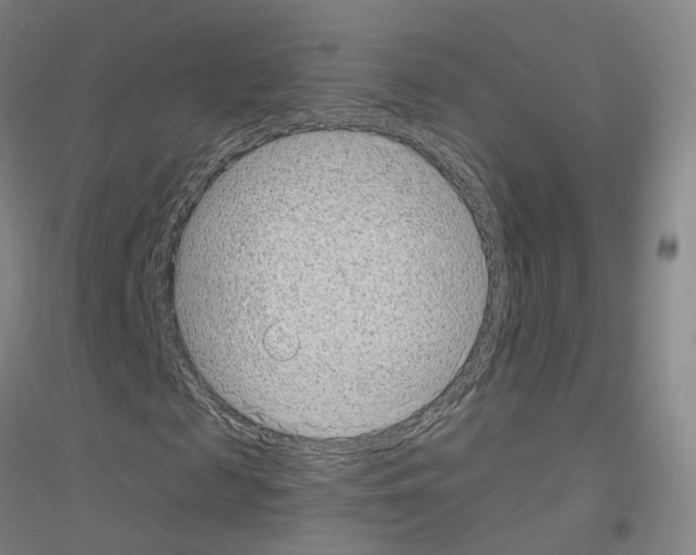 X0000116810817201001291559