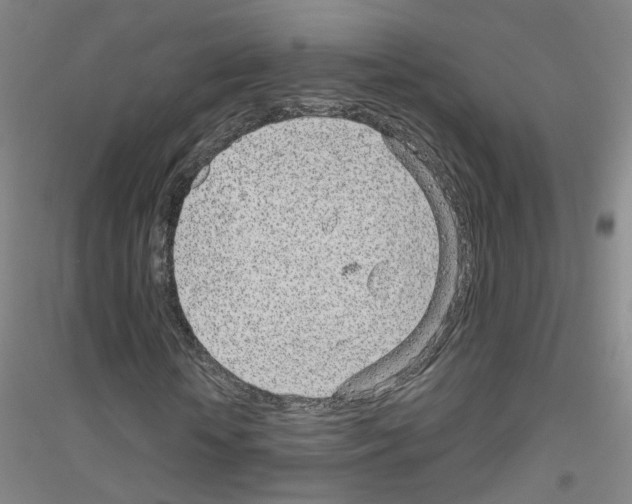 X0000116810818201001291559