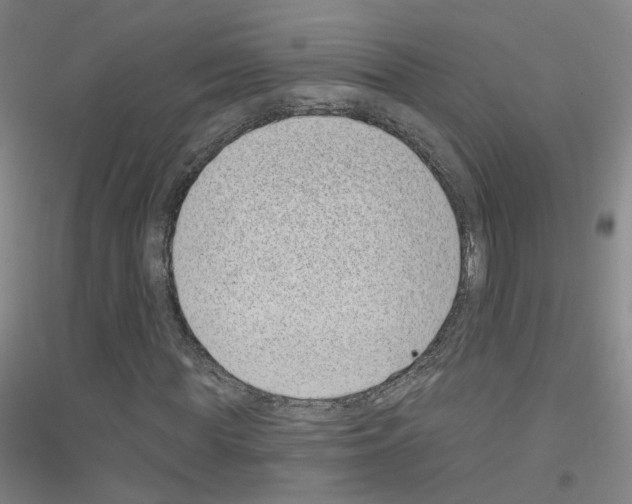 X0000116810819201001291559