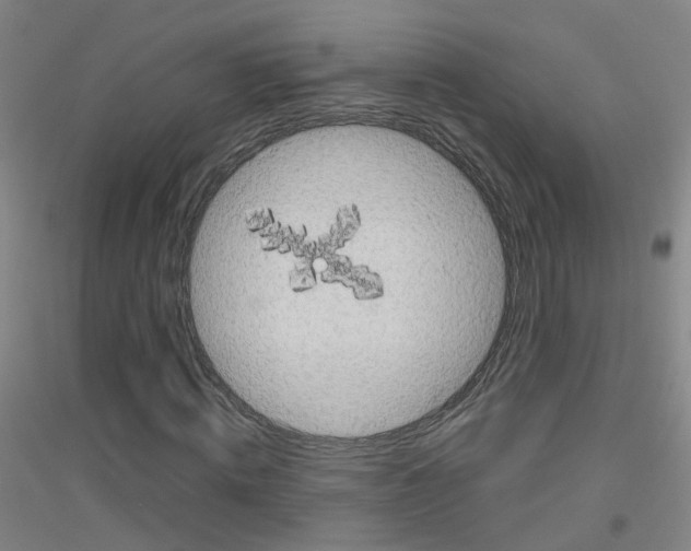 X0000116810820201001291559