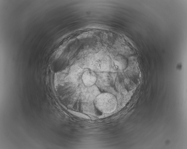X0000116810821201001291559
