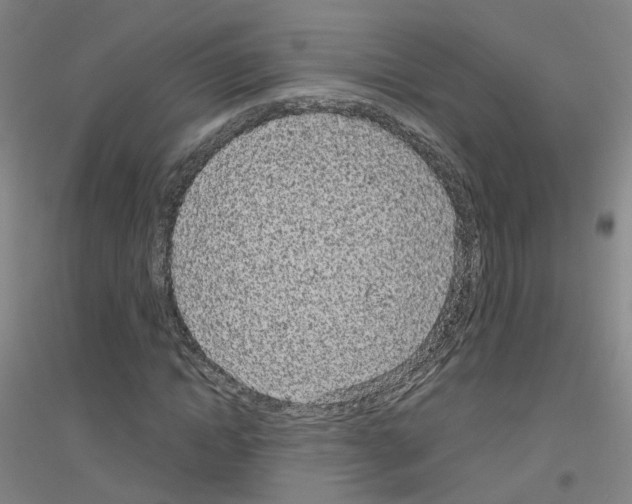 X0000116810822201001291559