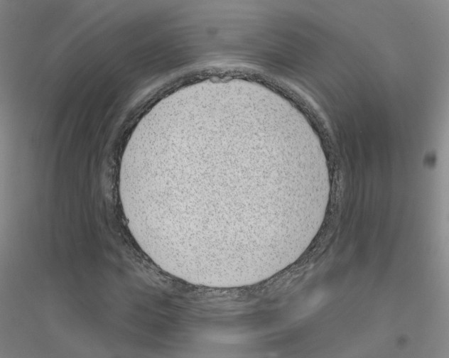 X0000116810823201001291559
